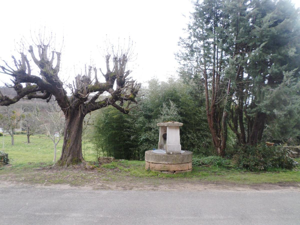 Les Marronniers Panzió La Chapelle-sous-Brancion Kültér fotó
